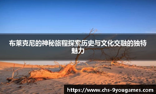 布莱克尼的神秘旅程探索历史与文化交融的独特魅力